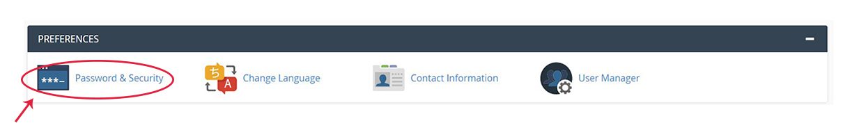 Screenshot of the cPanel Preferences section with the Password & Security icon highlighted